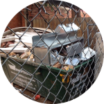 The Benefits of Rubbish Removal Hire Over Skip Bins