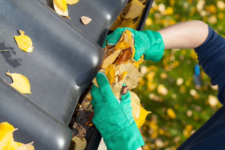 autumn cleaning and rubbish removal
