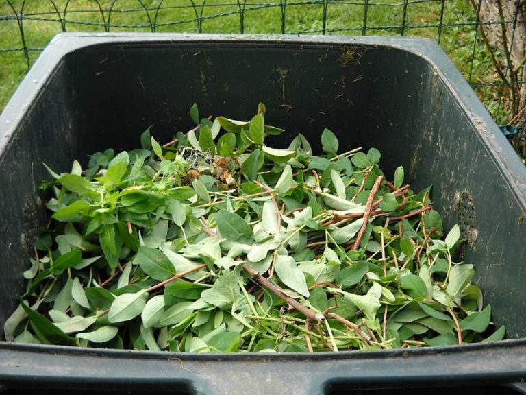 3 Things You Need To Remember About Green Waste Removal in Sydney